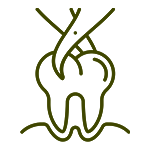 Extractions