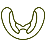Mouthguards