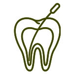 Root canals